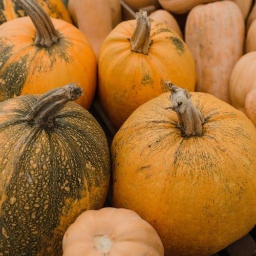 thanksgiving shopping list pdf