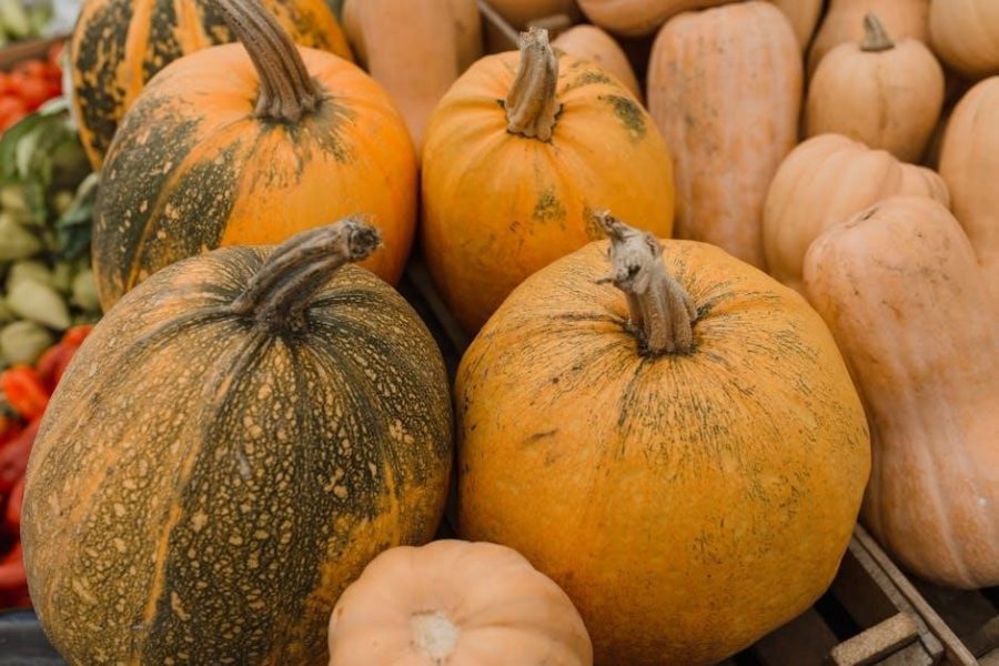 thanksgiving shopping list pdf