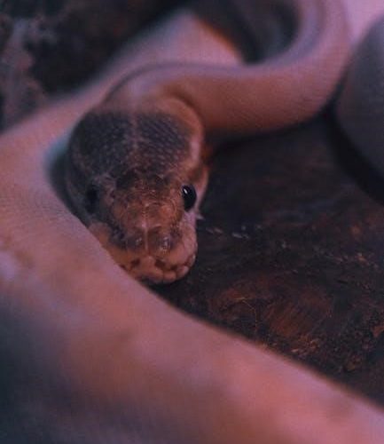 head first python 3rd edition pdf