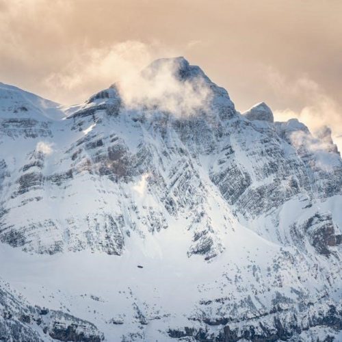 constitution scavenger hunt answers pdf