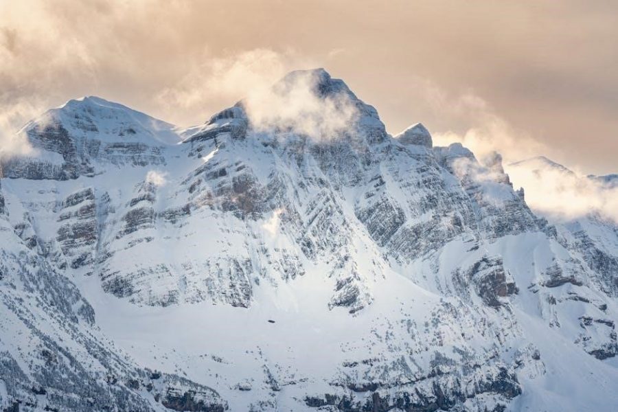 constitution scavenger hunt answers pdf