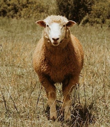 in sheep’s clothing pdf